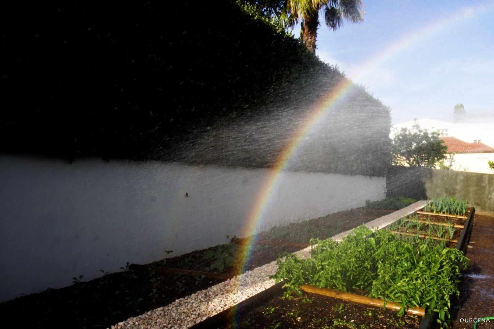 Currais O Pequeno Paraiso Entre O Mar E A Serra Aveiro Luaran gambar