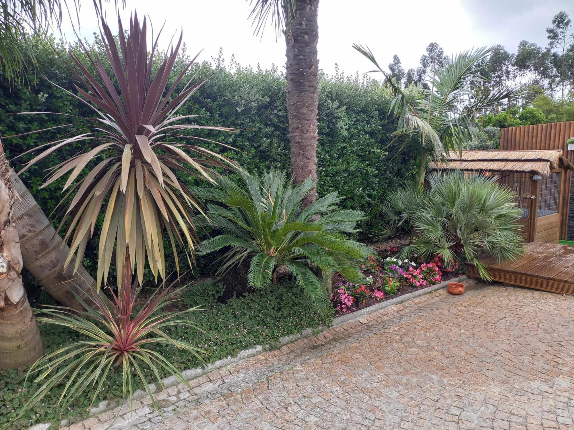 Currais O Pequeno Paraiso Entre O Mar E A Serra Aveiro Luaran gambar