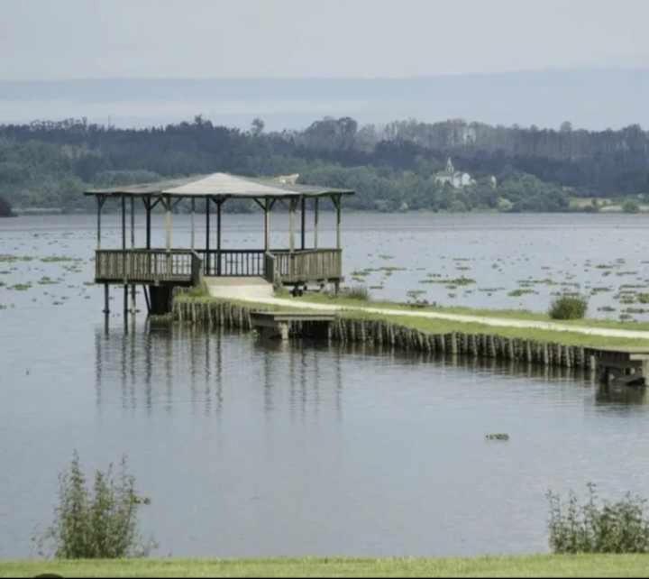 Currais O Pequeno Paraiso Entre O Mar E A Serra Aveiro Luaran gambar