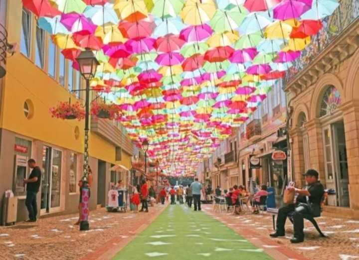 Currais O Pequeno Paraiso Entre O Mar E A Serra Aveiro Luaran gambar